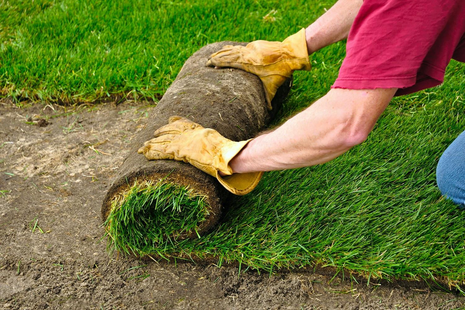 Nytt gress med ferdigplen Ferdigplen